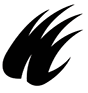 Badger Swim Club Logo